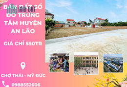 bán đất rẻ chợ thái - an lão