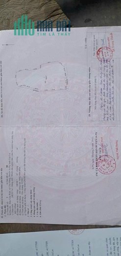 Cần bán gấp 1,68  mẫu tại Gia Lai