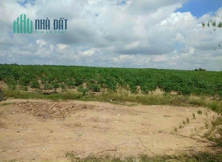 Cần bán gấp 1,68  mẫu đất tại Gia Lai