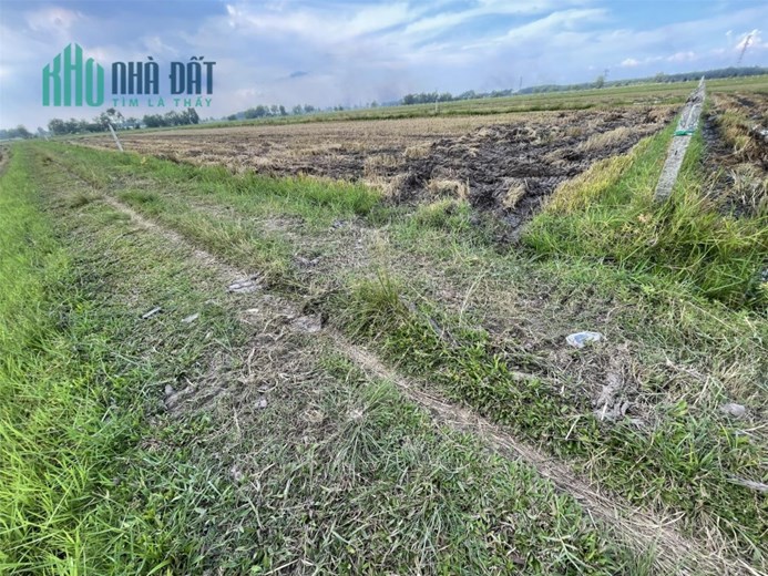Bán Đất Củ Chi 500 m2, ngang 20, dài 25, Giá hơn 900 Triệu