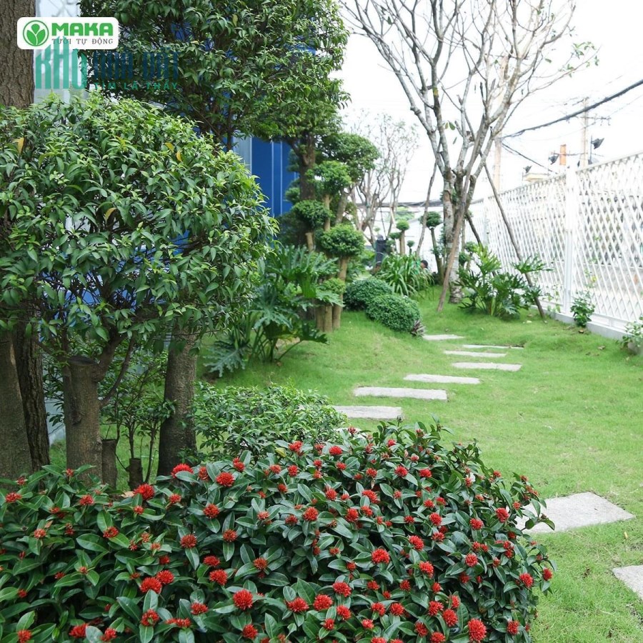 Biệt thự Từ 62 tỷ giảm còn 48 tỷ  View sông đường số 18,P.Hiệp Bình Chánh,Thủ Đức