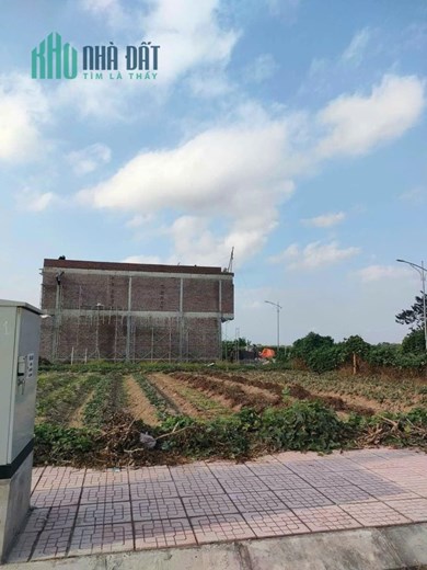 Đất Đẹp - Giá Tốt - Chính Chủ Cần Bán Lô Góc Tại  Khu Dân Cư Tư Cương, Xã An Cầu, huyện Quỳnh Phụ,