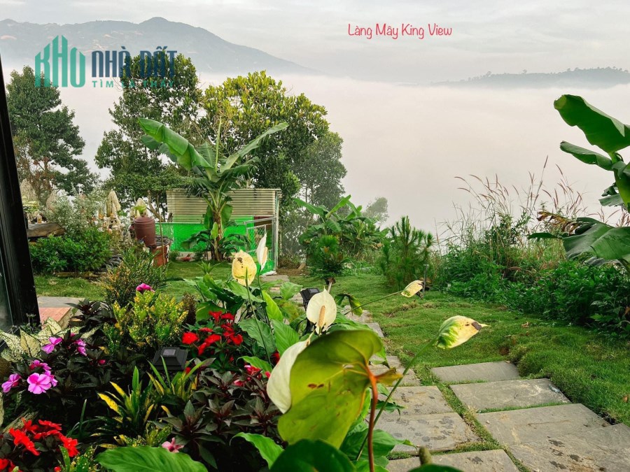 Thế Đất Đường Nhựa Lưng Tựa Núi Mặt Hướng Thủy