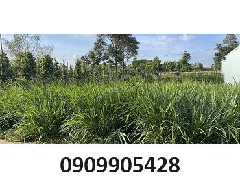⭐Đất nền dân cư gần chợ, trường học, có sổ đầy đủ, 400tr; 0909905428