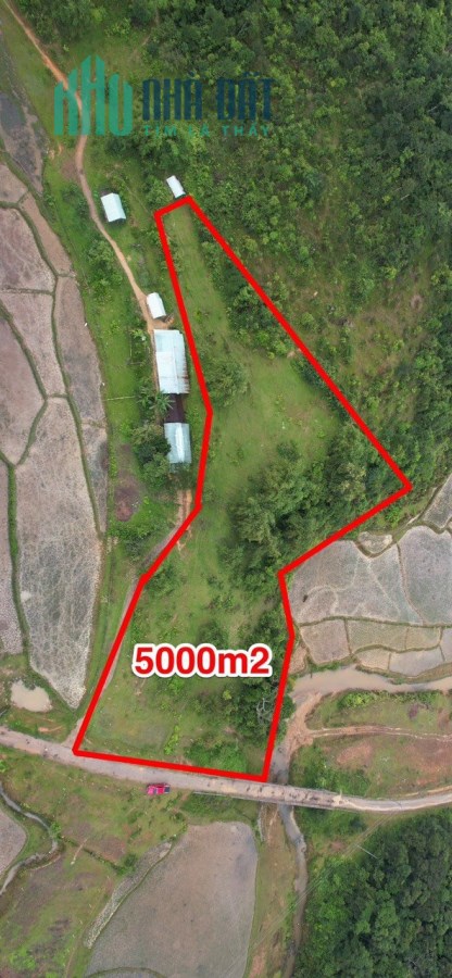 Lô đất Măng Đen cực xịn còn sót lại: 5.009m2 có 400m2 thổ cư
