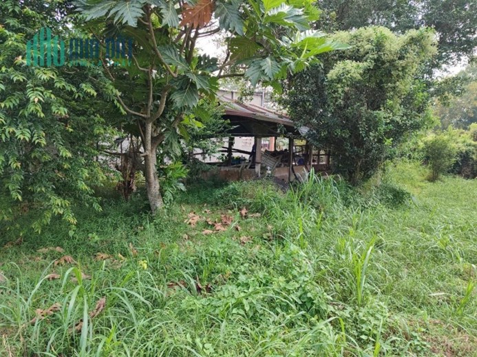 Cần bán gấp lô đất 1000  m²   tại Tân An Hội ,huyện Củ Chi, TP.HCM