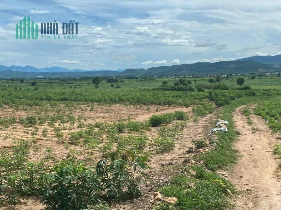 Cần bán gấp DT 1,9 mẫu tại xã Chư Răng, huyện La Pa, tỉnh Gia Lai