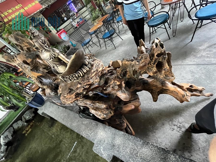 Cần bán thác nước phong thuỷ chất liệu bộ rễ lõi cây gỗ chai