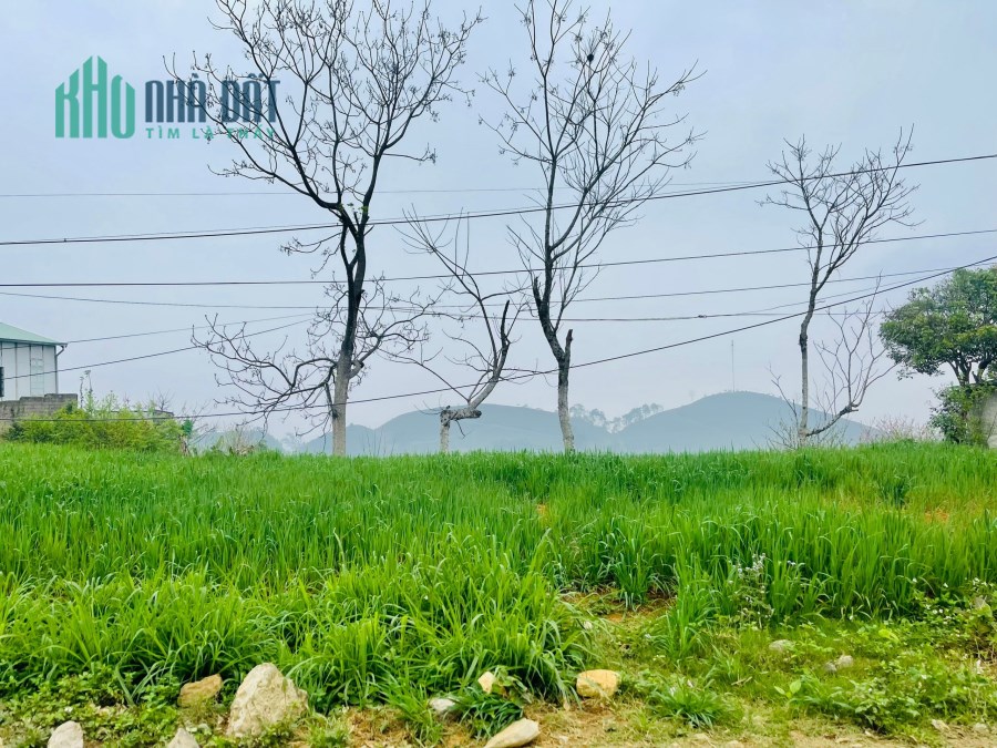 BÁN DỰ ÁN BIỂN HỒ VILLAGE - TIỀM NĂNG PHÁT TRIỂN CAO