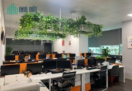 BQL Tòa Time Tower - 35 Lê Văn Lương cho thuê Văn Phòng : 250m2 - 500m2-1000m2 giá 230k/m2