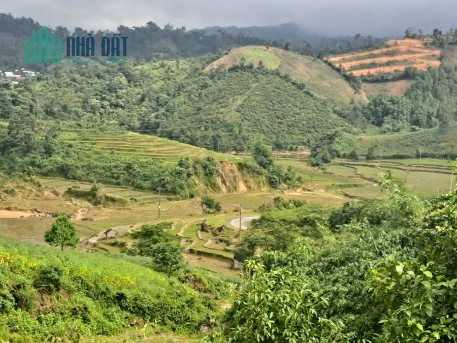 CẮT LỖ LÔ ĐẤT 5.502m2 MĂNG ĐEN VỊ TRÍ SIÊU ĐẸP LÀM HOMESTAY