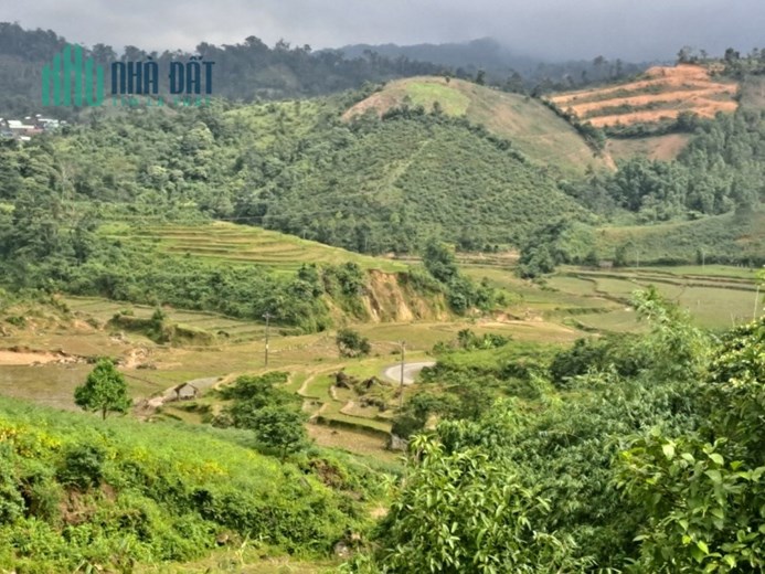 CẮT LỖ LÔ ĐẤT 5.502m2 MĂNG ĐEN VỊ TRÍ SIÊU ĐẸP LÀM HOMESTAY