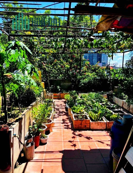 Bán Nhà Phố Hoàng Ngọc Phách Quận Đống Đa. Sổ 65m Thực Tế 70m Mặt Tiền 5m Nhỉnh 17 Tỷ. Cam Kết Ảnh