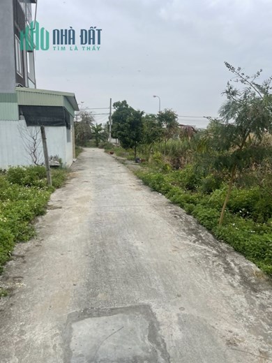 Cần bán gấp lô đất 54m² ngõ 3m tại 312 Cát Linh, Tràng Cát, Hải An.