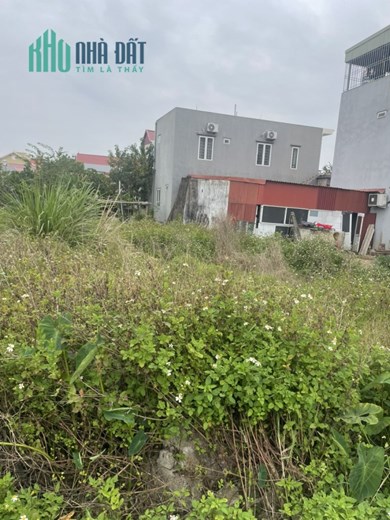 Cần bán gấp lô đất 54m² ngõ 3m tại 312 Cát Linh, Tràng Cát, Hải An.