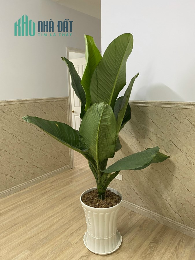 Bán chung cư P.Thanh Bình, gần chợ Biên Hoà, 80m2 chỉ 1ty8