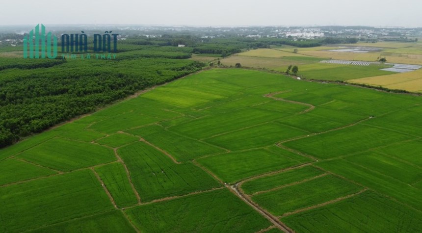 CẦN BÁN GẤP THỬA ĐẤT NHÀ VƯỜN TẠI NHƠN TRẠCH ĐỒNG NAI