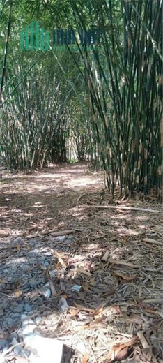 ĐẤT CHÍNH CHỦ - GIÁ TỐT - Cần Bán Nhanh Tại Xã Hòa Tịnh, Măng Thít, Vĩnh Long