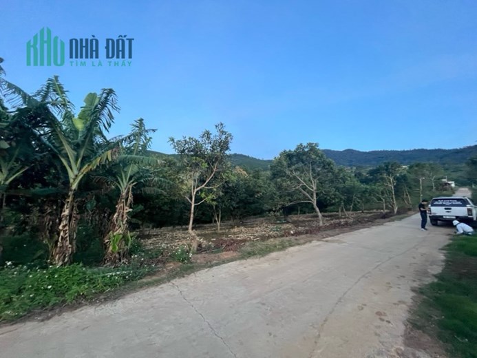Cần tiền gấp bán gấp lô Đất Thổ Cư, Đã có sổ 2400m2 Lâm Hà, Lâm Đồng