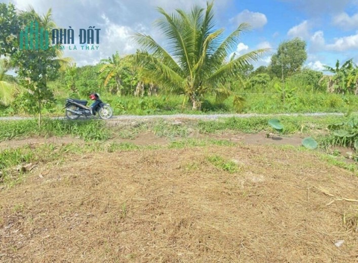 + CHÍNH CHỦ CẦN BÁN ĐẤT THỊ TRẤN CÁI TÀU HẠ, HUYỆN CHÂU THÀNH, TỈNH ĐỒNG THÁP - LIÊN HỆ: 0907293278