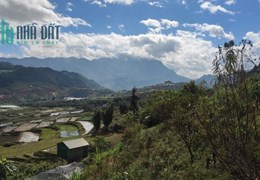 CẮT LỖ LÔ ĐẤT 1310 PHÙ HỢP LÀM HOMESTAY