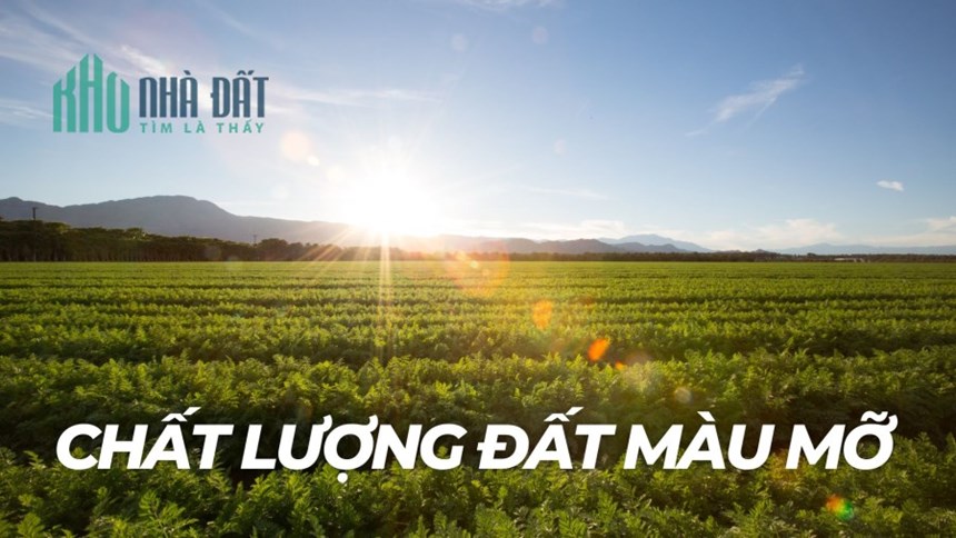 Hơn 60 ha đất Nông Nghiệp bằng phẳng, màu mỡ tại Đăk Nông - Giá chỉ 660tr/ha