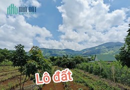 Lô Đất Giá F0 Ở Thị Trấn Nam Ban cách trung tâm Đà Lạt 20km