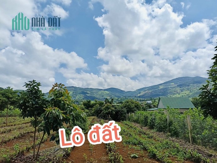Lô Đất Giá F0 Ở Thị Trấn Nam Ban cách trung tâm Đà Lạt 20km