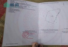 Cần bán gấp DT 1,9 mẫu tại huyện La Pa, tỉnh Gia Lai