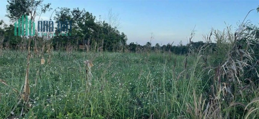 Cần bán gấp lô đất 5000  m²   tại huyện Củ Chi, TP.HCM