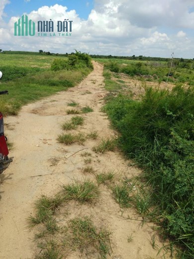 Cần bán gấp 1,2 mẫu tại Huyện La Pa- Tỉnh Gia Lai