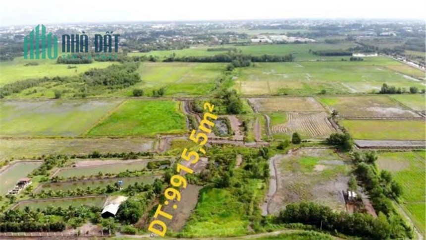 Cần bán gấp DT: 9915 m²  
tại Củ Chi - TPHCM