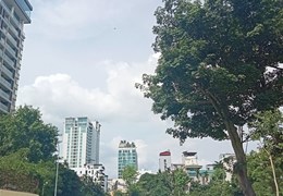 Bán Đất Phố Xuân Diệu Quận Tây Hồ. 61m Mặt Tiền 4.6m Nhỉnh 13 Tỷ. Cam Kết Ảnh Thât Mô Tả Chính Xác.