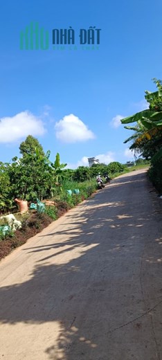 Cần Bán Đất Tại Xã Hoài Đức, Huyện Lâm Hà, Lâm Đồng