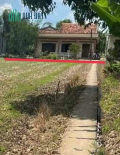 Bán gấp nhà xã Bình lãng giá 1,2 Tỷ