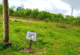 CHÍNH CHỦ CẦN ANH EM "NHỔ CỌC " LÔ ĐẤT THẲNG CÁNH CÒ BAY 11 XÀO Ở + VƯỜN