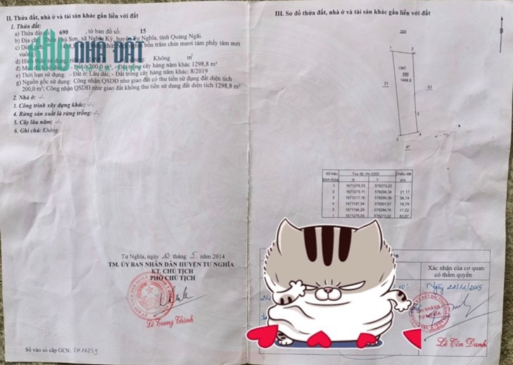 CHÍNH CHỦ CẦN ANH EM NHỔ CỌC LÔ ĐẤT THẲNG CÁNH CÒ BAY 11 XÀO Ở + VƯỜN