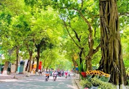 Nhà phố Phan Đình Phùng, Ba Đình, sát phố,sang chảnh,50m,4 ngủ,MT 4,5m