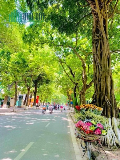 Nhà phố Phan Đình Phùng, Ba Đình, sát phố,sang chảnh,50m,4 ngủ,MT 4,5m