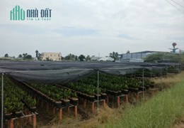 CHÍNH CHỦ CẦN BÁN 4000 MÉT VUÔNG ĐẤT. MẶT TIỀN 73M,NỞ HẬU 83M