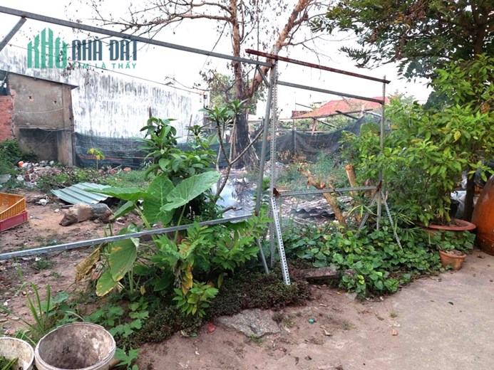 Đất Thổ Cư Ngộp HXH Đường Số 8 Linh Xuân Thủ Đức 157m2_9x19m HXH Chỉ 30tr.m2 Siêu Rẻ