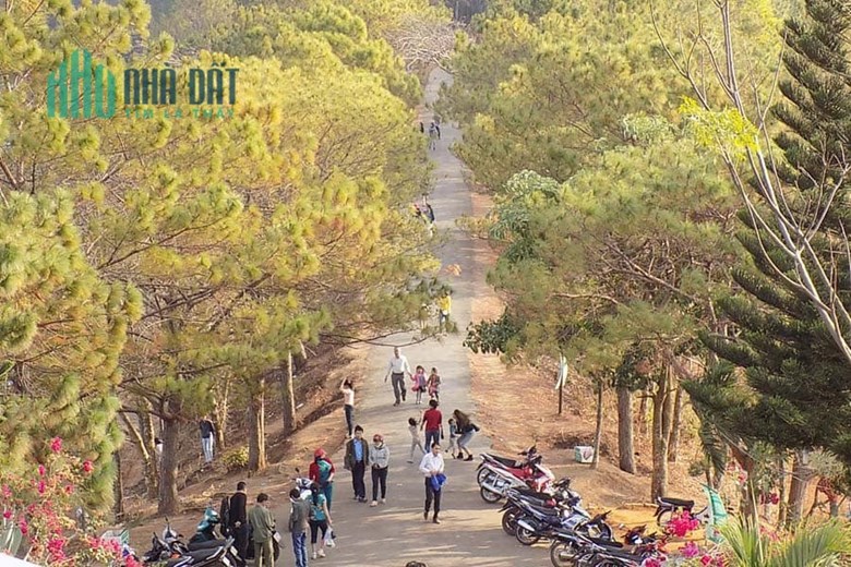 KHẨN CẤP BÁN GẤP LÔ ĐẤT TẠI BIỂN HỒ VILLAGE GIÁ SIÊU RẺ