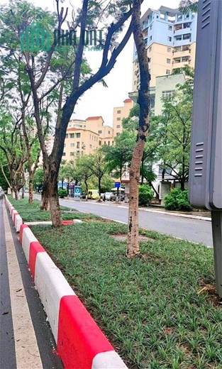 Bán Nhà Mặt Phố Trần Đăng Ninh Quận Cầu Giấy. 40m Nhỉnh 10 Tỷ. Cam Kết Ảnh Thật Mô Tả Chính Xác.