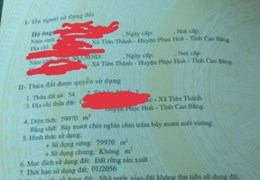 Cần bán Lô Đất Rừng Thuộc Tiên Thành - Phục Hoà - Cao Bằng