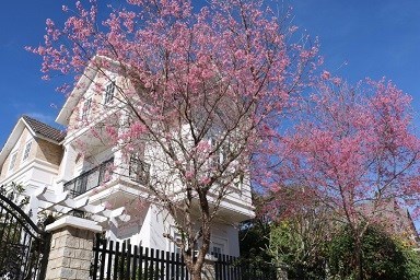 Cần bán Villa đường Triệu Việt Vương, P.4, Đà Lạt