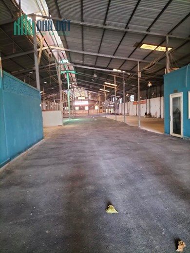 Cho thuê nhà xưởng giá rẻ 8000n2 An Phú Đông Quận 12
