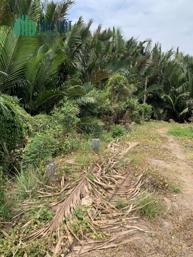 *** CẦN BÁN NHANH LÔ ĐẤT NÔNG NGHIỆP NHÀ BÈ ***