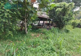 Cần bán gấp lô đất  tổng diện tích 1000  m²   tại huyện Củ Chi, TP.HCM