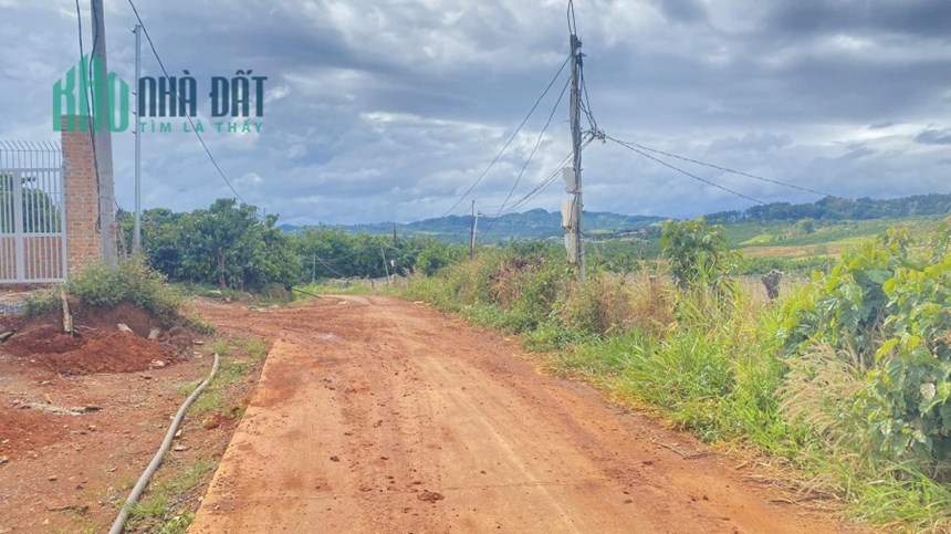 Bán 5 sào đất full hồng 2 mặt hẻm pê tông rộng 5m, thiện chí ninh gia đức trọng 6,5 tỷ