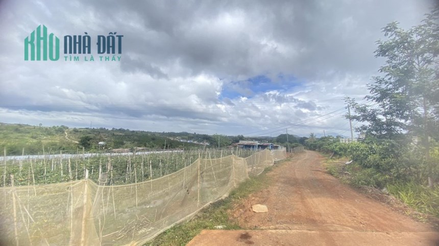 Bán 5 sào đất full hồng 2 mặt hẻm pê tông rộng 5m, thiện chí ninh gia đức trọng 6,5 tỷ